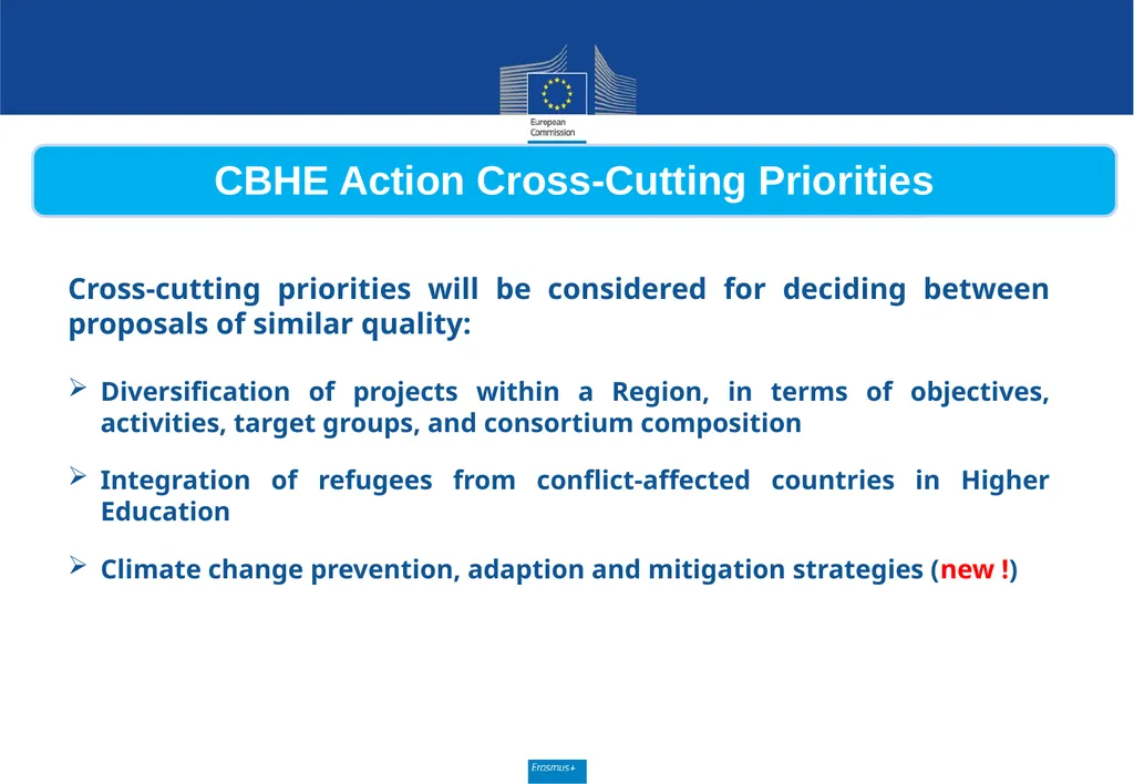 Call for proposals 2020 Key Action 2 Capacity - slide 6 of 30