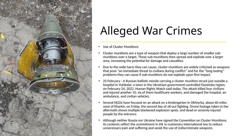 Russian Invasion of Ukraine 2022 Dr James Gallen - slide 19 of 22