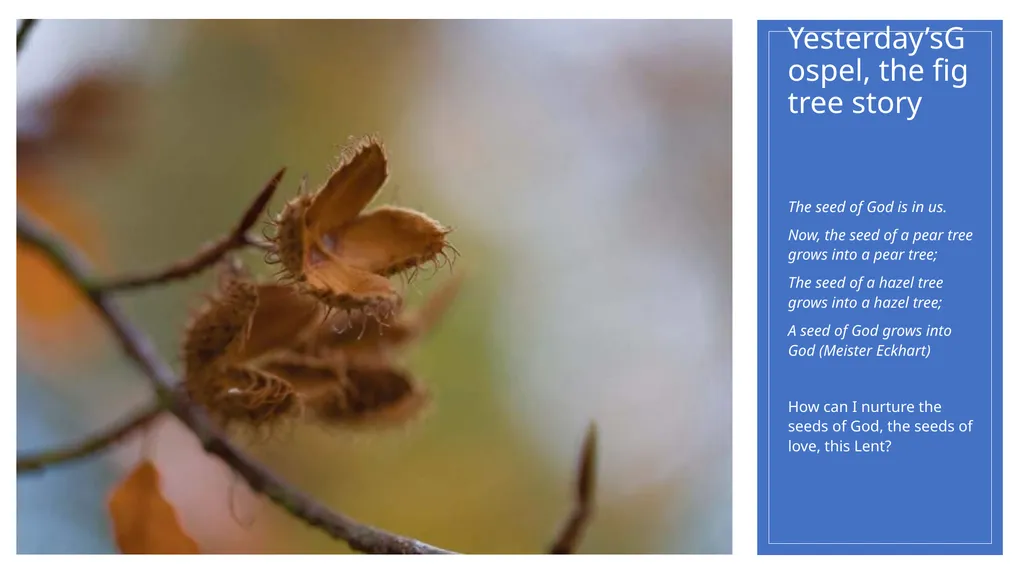 You are invited to…. Relax Listen Reflect Pray - slide 3 of 8