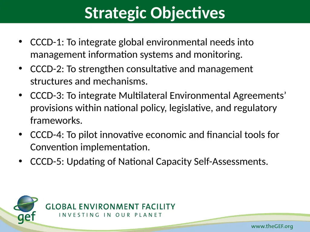 GEF-6 Strategy for Cross-Cutting Capacity - slide 8 of 10