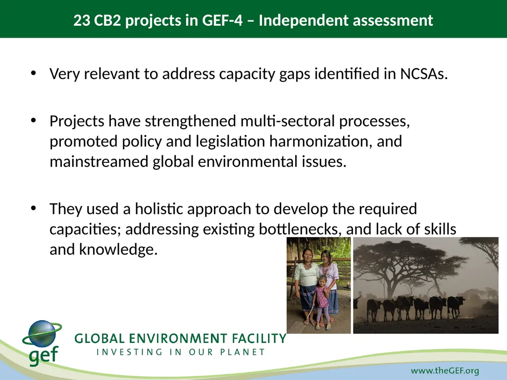GEF-6 Strategy for Cross-Cutting Capacity - slide 5 of 10
