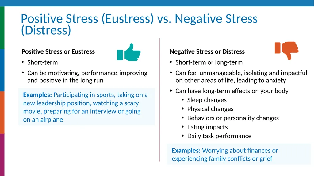 Navigating Health and Wellness Through Empowered - slide 8 of 17
