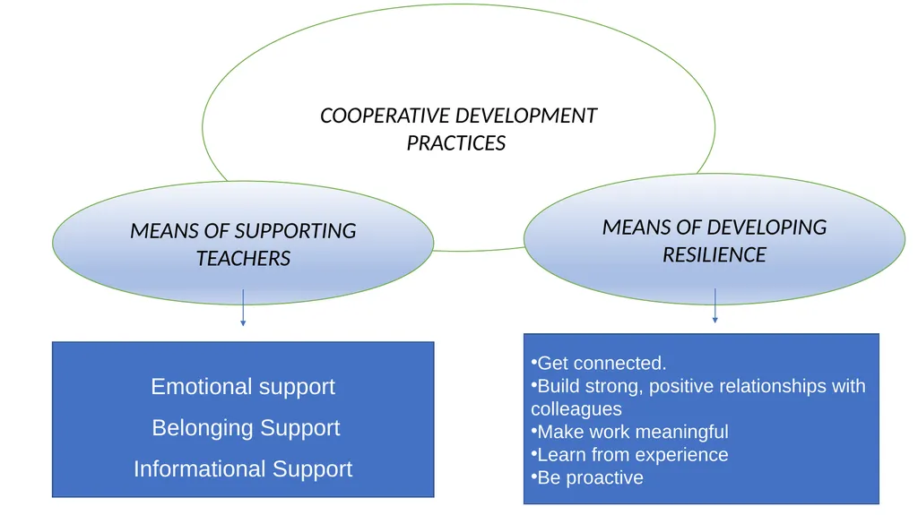 COOPERATIVE DEVELOPMENT PRACTICES IN TEACHERS - slide 9 of 11