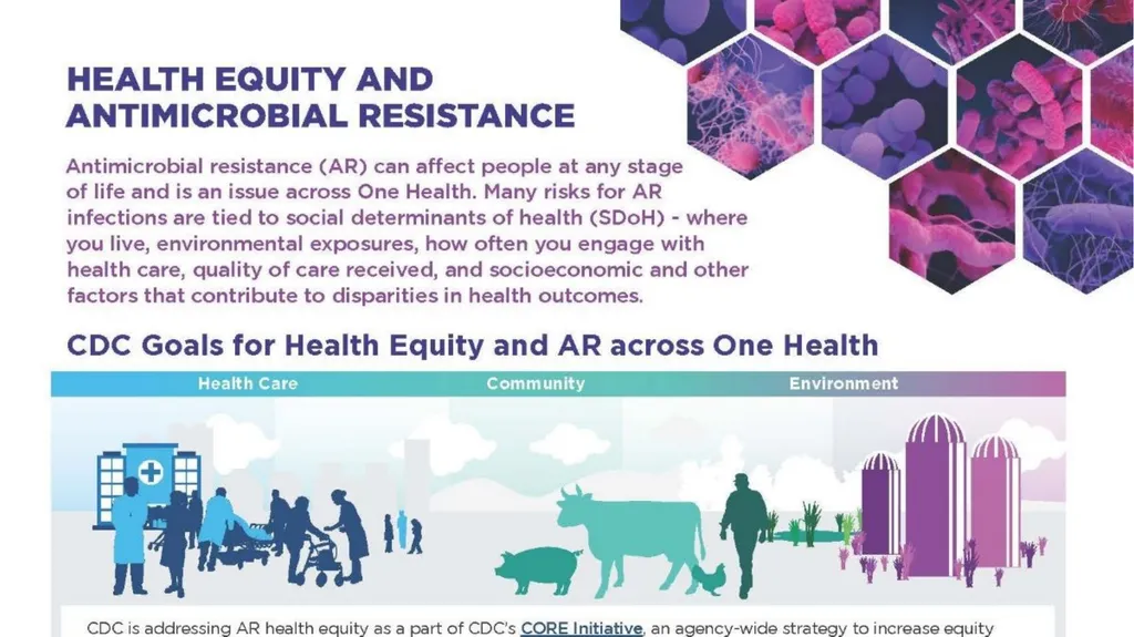 Health inequities in infection prevention and - slide 22 of 25