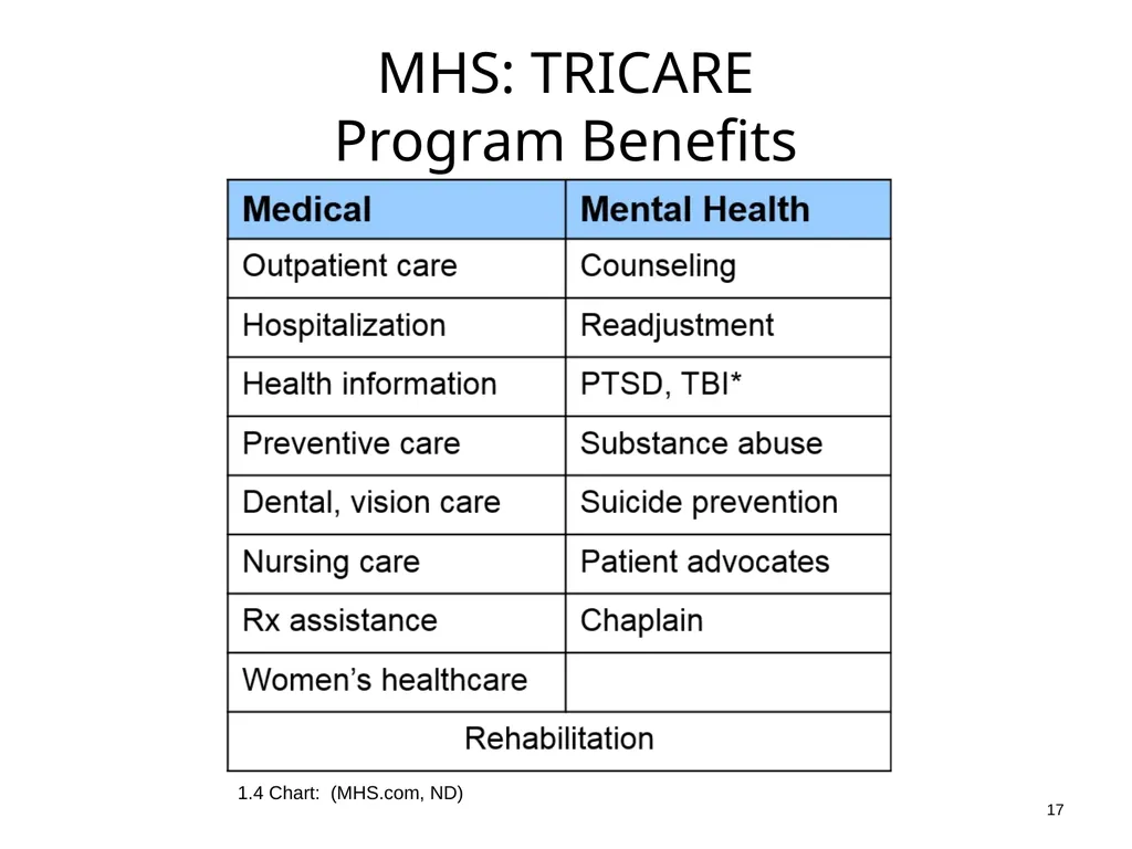 Introduction to Health Care and Public Health in - slide 17 of 24