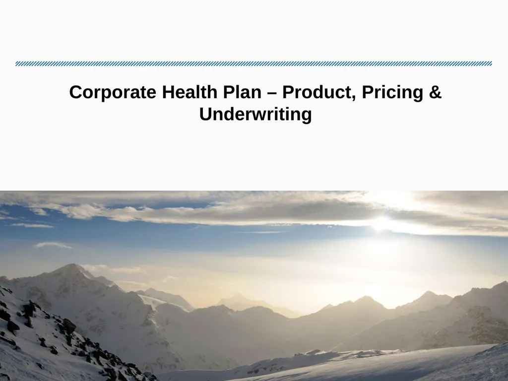 Corporate Health Portfolio: Challenges & Solutions - slide 5 of 26