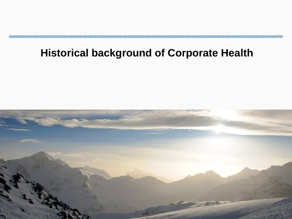 Corporate Health Portfolio: Challenges & Solutions - slide 3 of 26