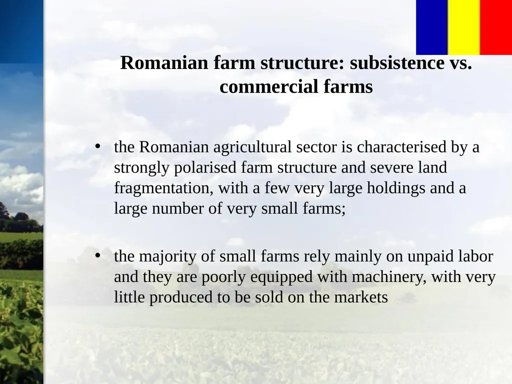 Romanian Agricultural Sector Overview Bucharest, - slide 10 of 19