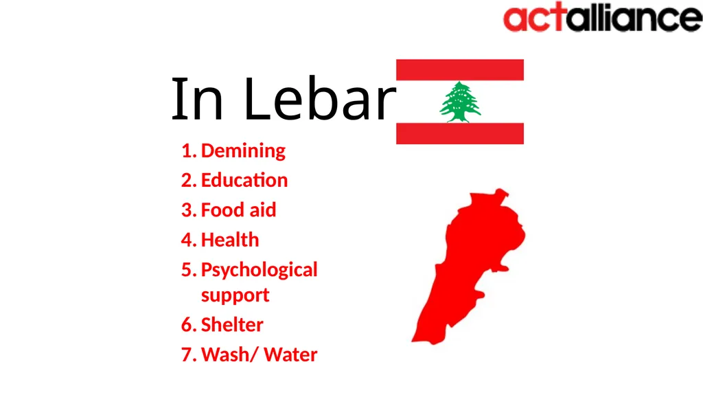 ACT RPOs’ Humanitarian Team Meeting Bangkok, 17-19 - slide 12 of 28