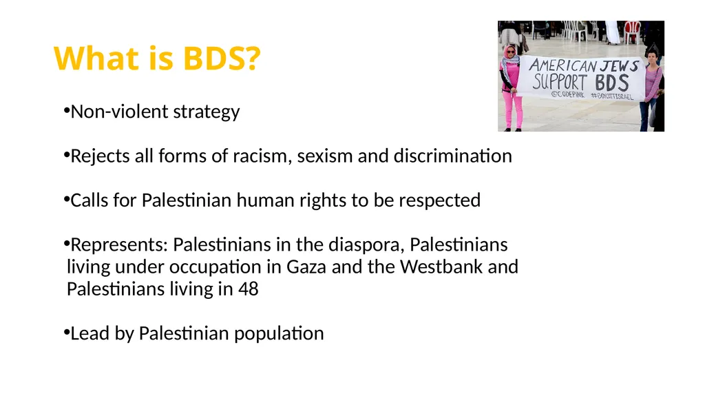 The BDS movement today Alys Samson Estapé - slide 4 of 12