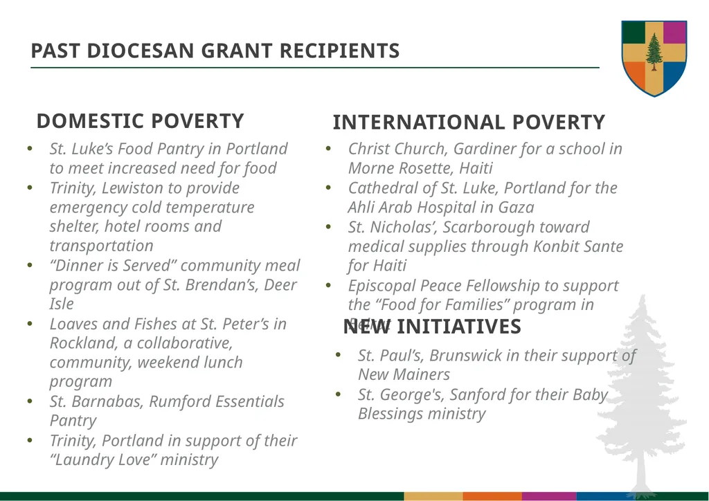 DIOCESAN GRANTS JANUARY 14, 2025 AGENDA Welcome - slide 6 of 11
