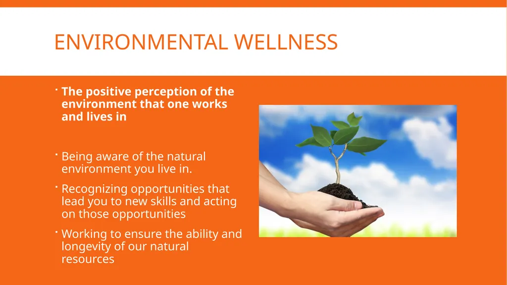 Well-rounded health First Year Florida Four - slide 9 of 12