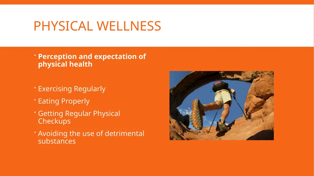 Well-rounded health First Year Florida Four - slide 4 of 12