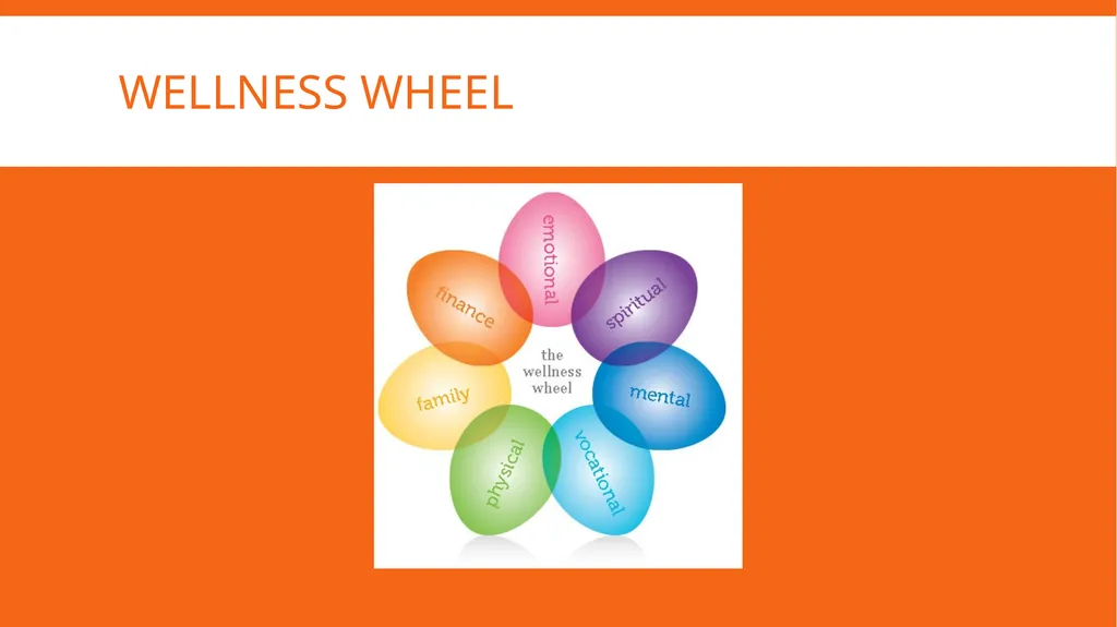 Well-rounded health First Year Florida Four - slide 3 of 12