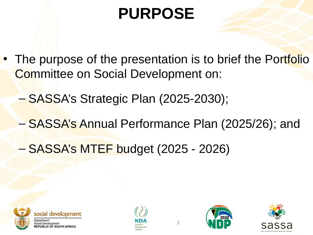 Strategic Plan (2025-2030); Annual Performance - slide 3 of 40