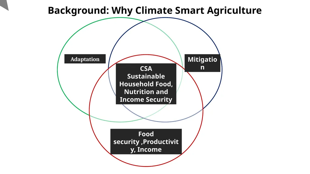 UGANDA CLIMATE SMART AGRICULTURAL TRANSFORMATION - slide 5 of 47