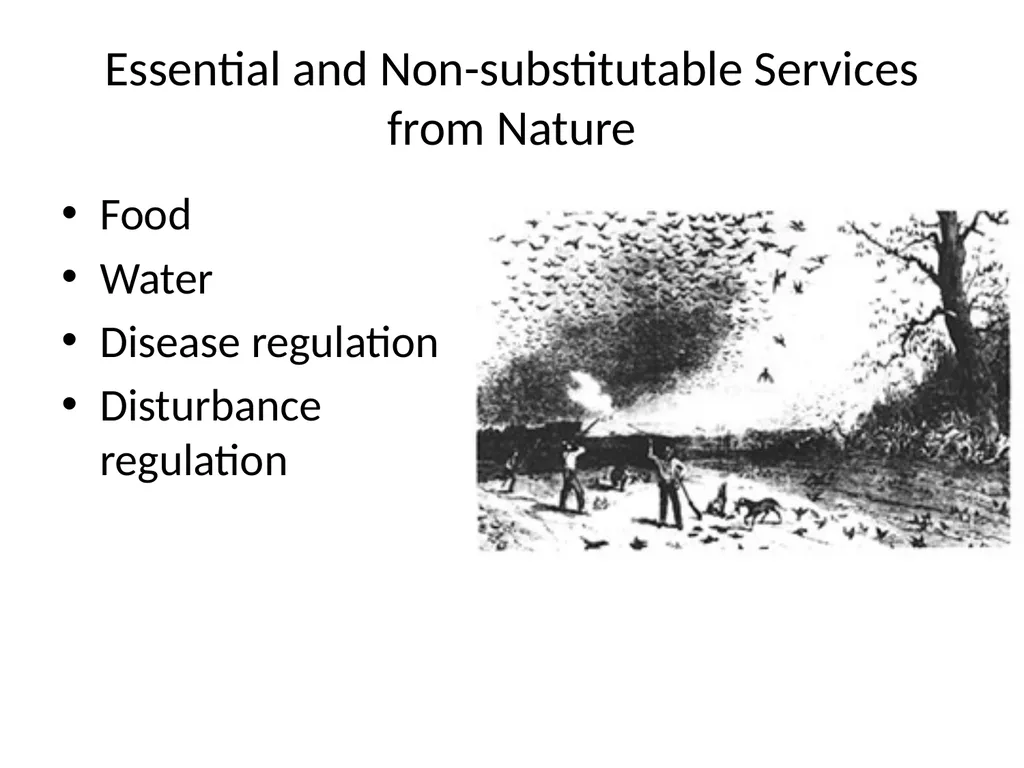 Greening Health Care Josh Farley CDAE Outline of - slide 28 of 34
