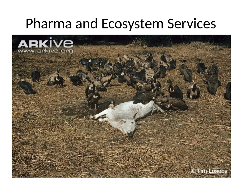 Greening Health Care Josh Farley CDAE Outline of - slide 6 of 34