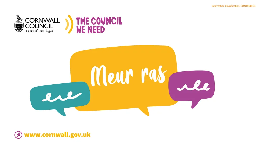 Cornwall Council Finance Briefing and Second Homes - slide 19 of 19