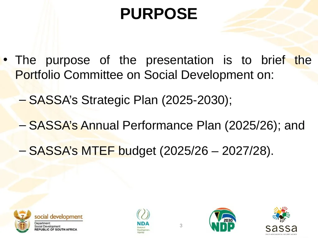 Strategic Plan (2025-2030); Annual Performance - slide 3 of 41