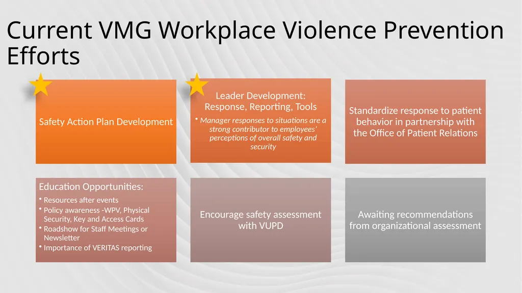 VMG Workplace Violence Prevention Committee: - slide 3 of 12