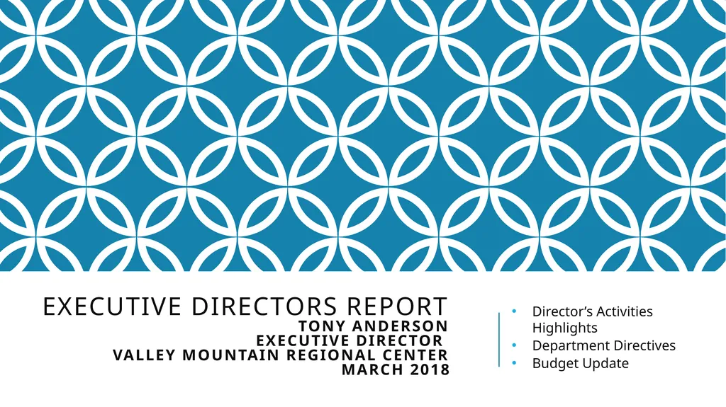 Executive Directors Report Tony Anderson Executive - slide 1 of 27