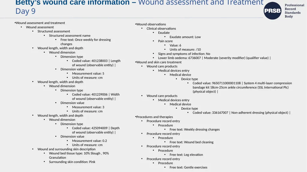 Implementing the PRSB Wound Care Record - slide 17 of 27