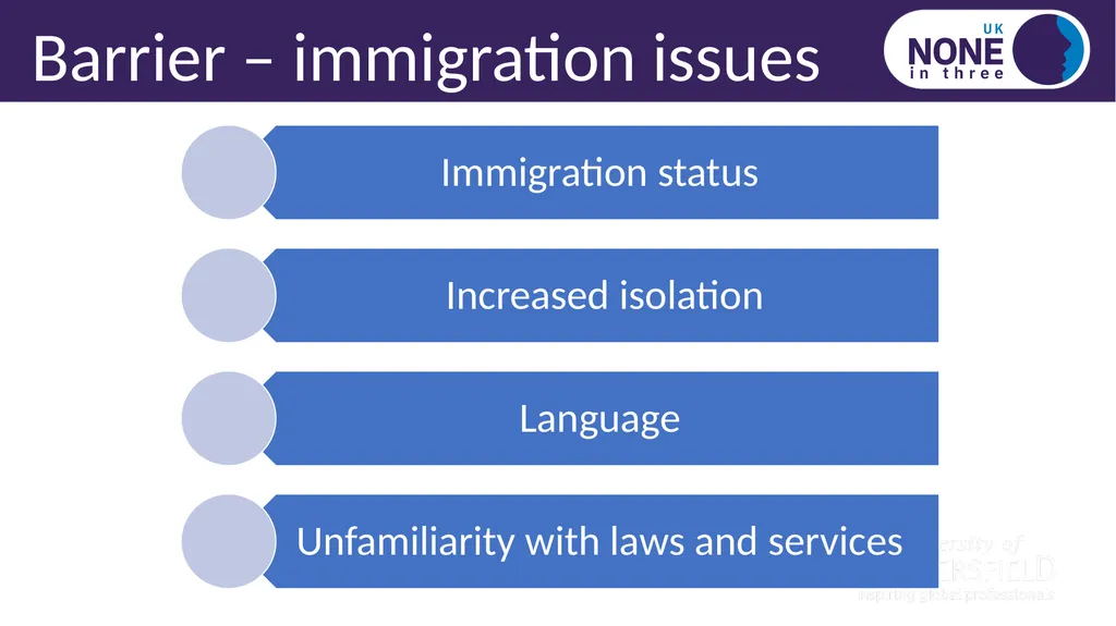 Black, Asian, minority ethnic and immigrant IPV - slide 8 of 14