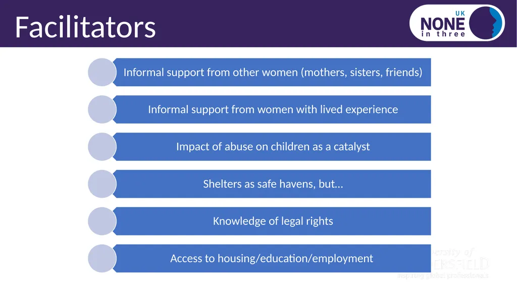 Black, Asian, minority ethnic and immigrant IPV - slide 12 of 14