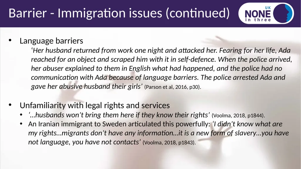 Black, Asian, minority ethnic and immigrant IPV - slide 10 of 14