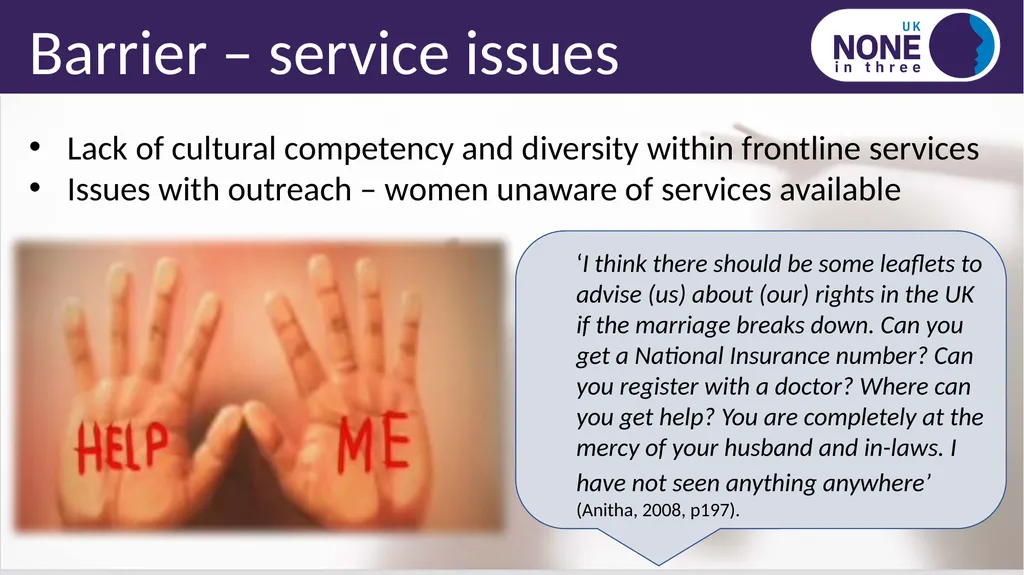 Black, Asian, minority ethnic and immigrant IPV - slide 11 of 14