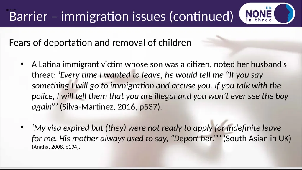 Black, Asian, minority ethnic and immigrant IPV - slide 9 of 14