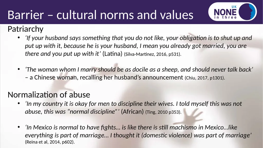 Black, Asian, minority ethnic and immigrant IPV - slide 4 of 14