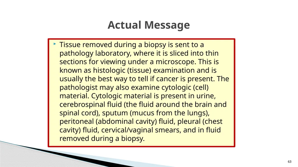 Accessible Information and Effective Communication - slide 63 of 85