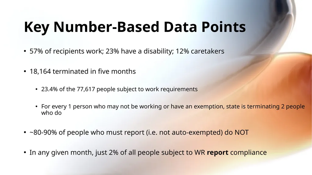 Arkansas Work Requirements Kevin De Liban, - slide 4 of 14
