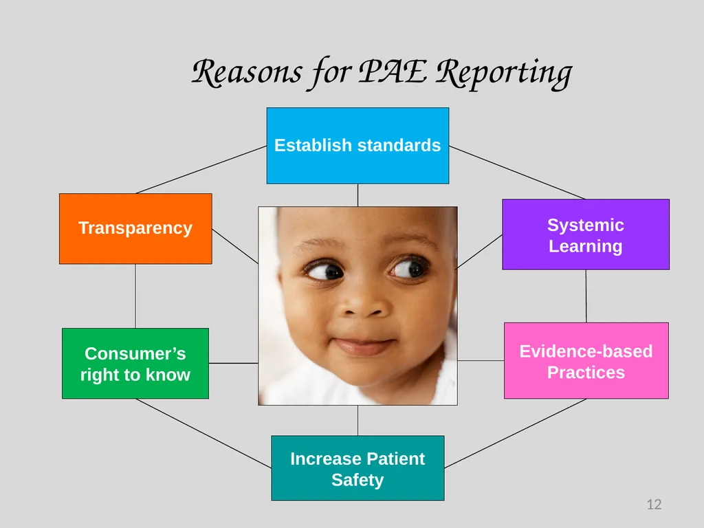 Preventable Adverse Event (PAE) Reporting-101 - slide 12 of 40