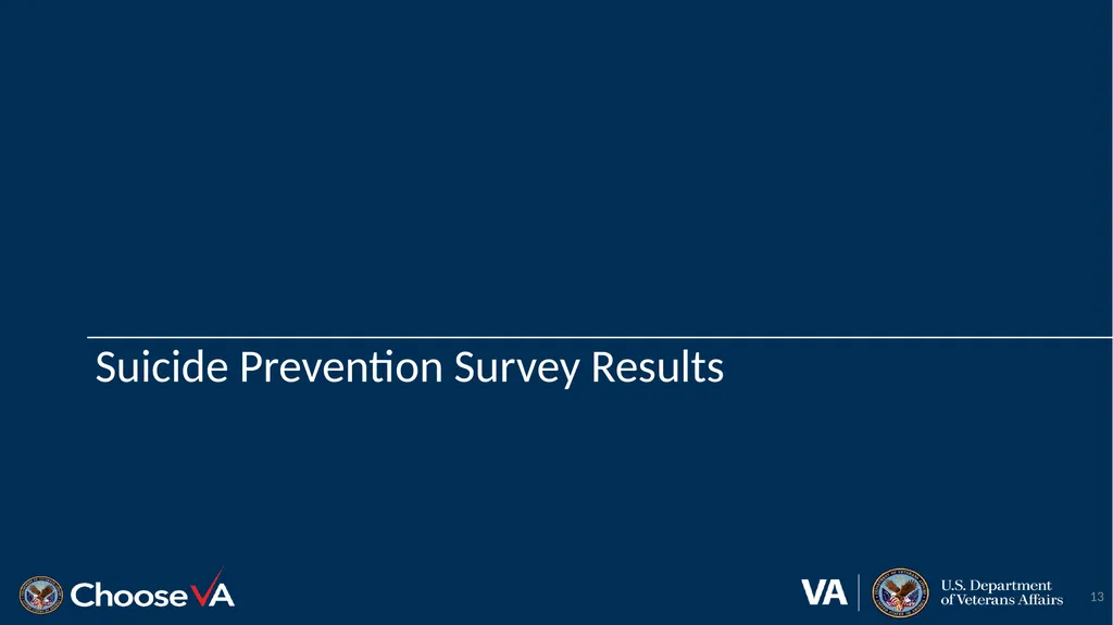 Suicide Prevention: Advisory Group Monthly Meeting - slide 13 of 28
