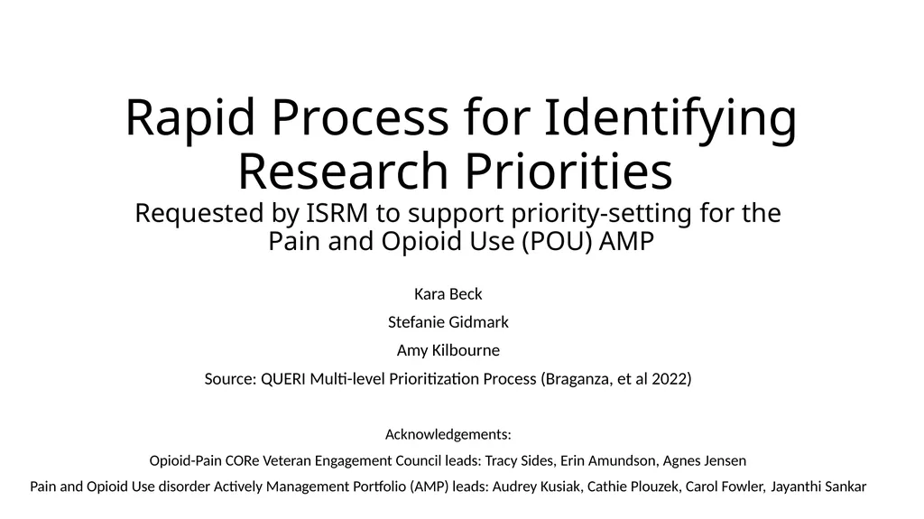 Rapid Process for Identifying Research Priorities