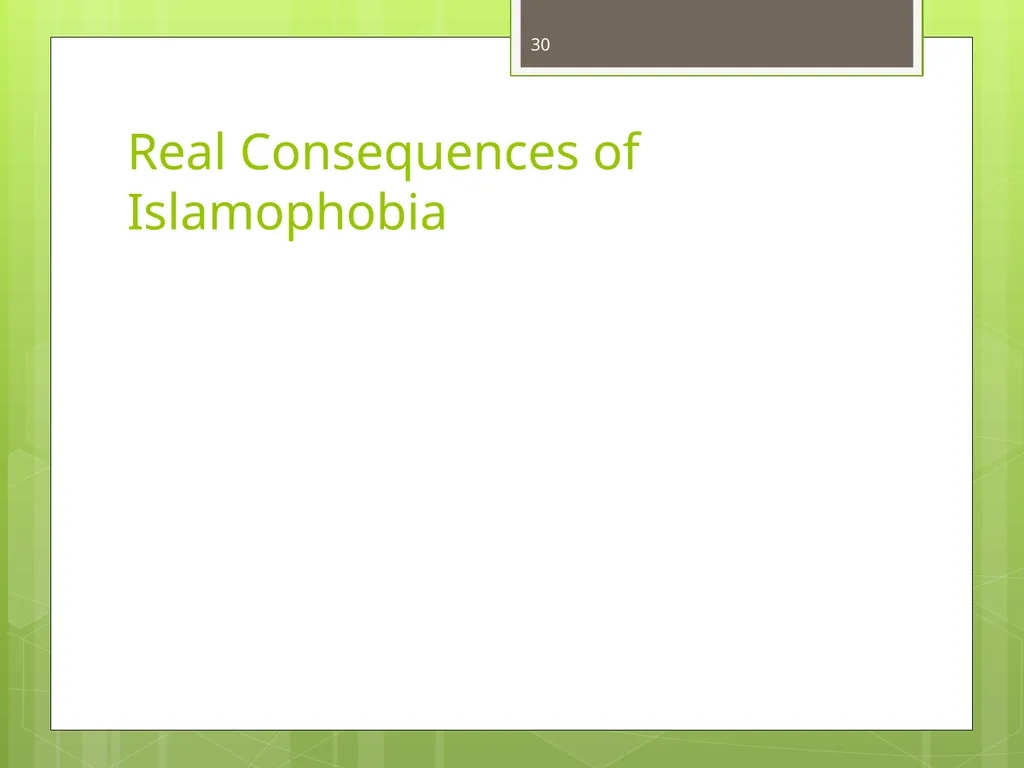 Islamophobia By Dr. Monia Mazigh 2017 © - slide 30 of 58