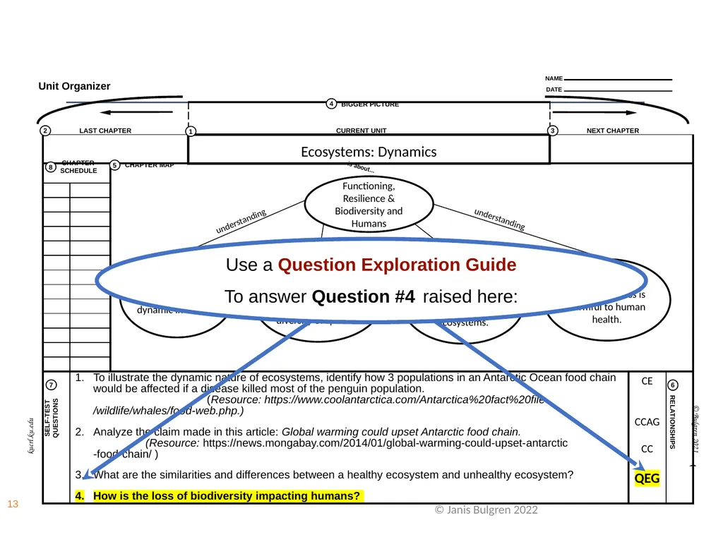 Janis A. Bulgren, Ph.D. 2023 Higher Order Thinking - slide 13 of 24
