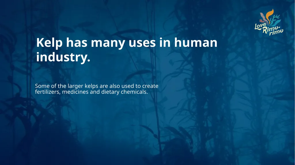 Rimurimu Fun Facts There is more algae than plants - slide 40 of 45