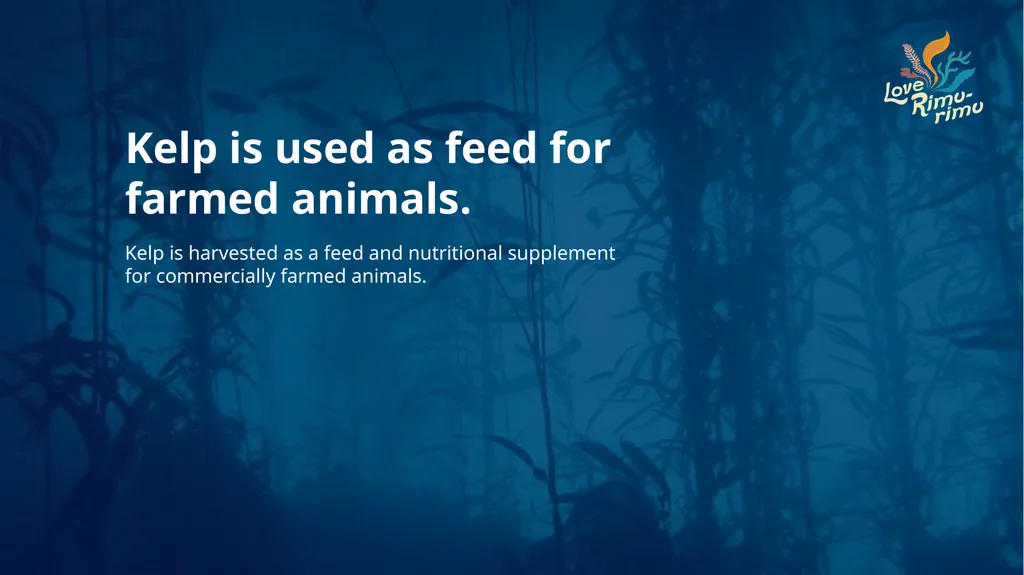 Rimurimu Fun Facts There is more algae than plants - slide 8 of 45
