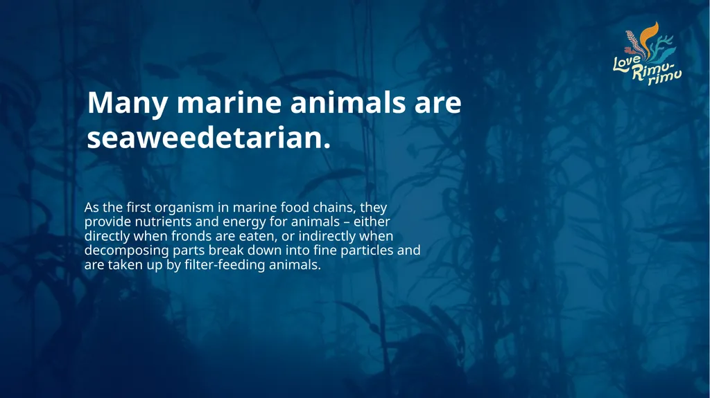 Rimurimu Fun Facts There is more algae than plants - slide 31 of 45