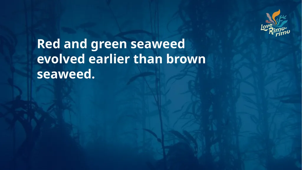 Rimurimu Fun Facts There is more algae than plants - slide 32 of 45