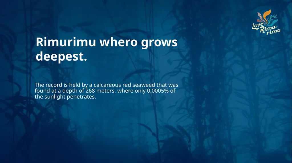 Rimurimu Fun Facts There is more algae than plants - slide 33 of 45