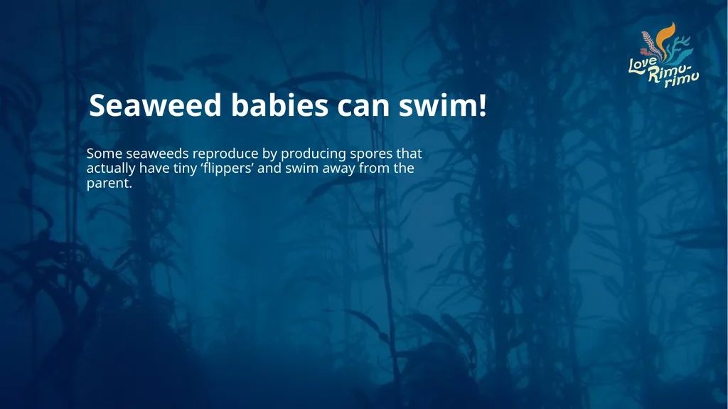 Rimurimu Fun Facts There is more algae than plants - slide 15 of 45