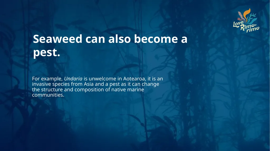 Rimurimu Fun Facts There is more algae than plants - slide 20 of 45