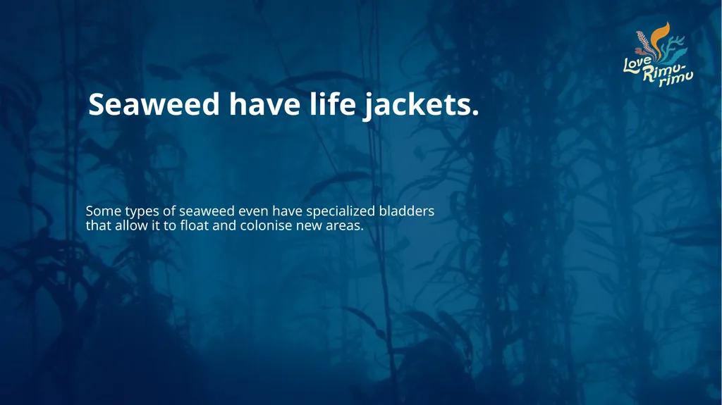 Rimurimu Fun Facts There is more algae than plants - slide 36 of 45
