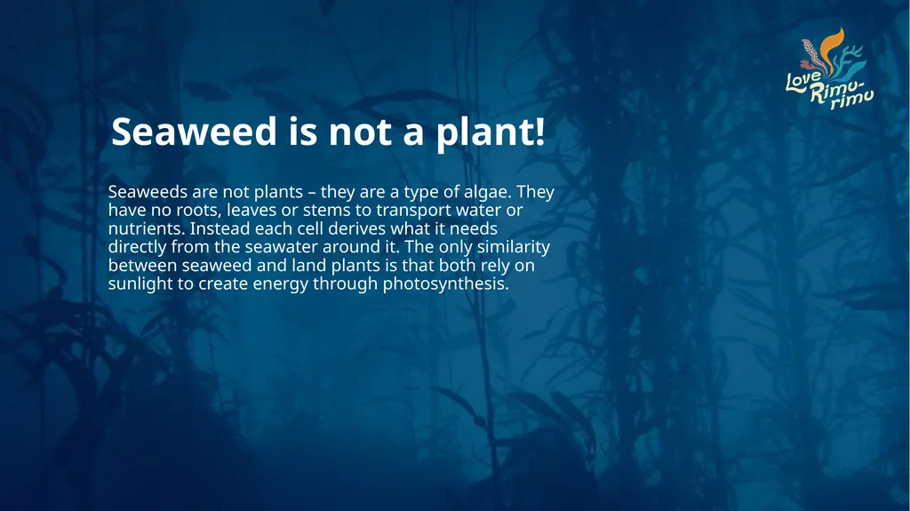 Rimurimu Fun Facts There is more algae than plants - slide 14 of 45