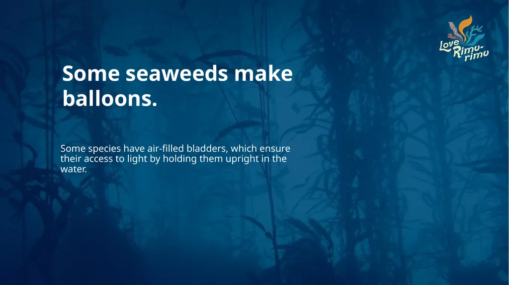 Rimurimu Fun Facts There is more algae than plants - slide 34 of 45